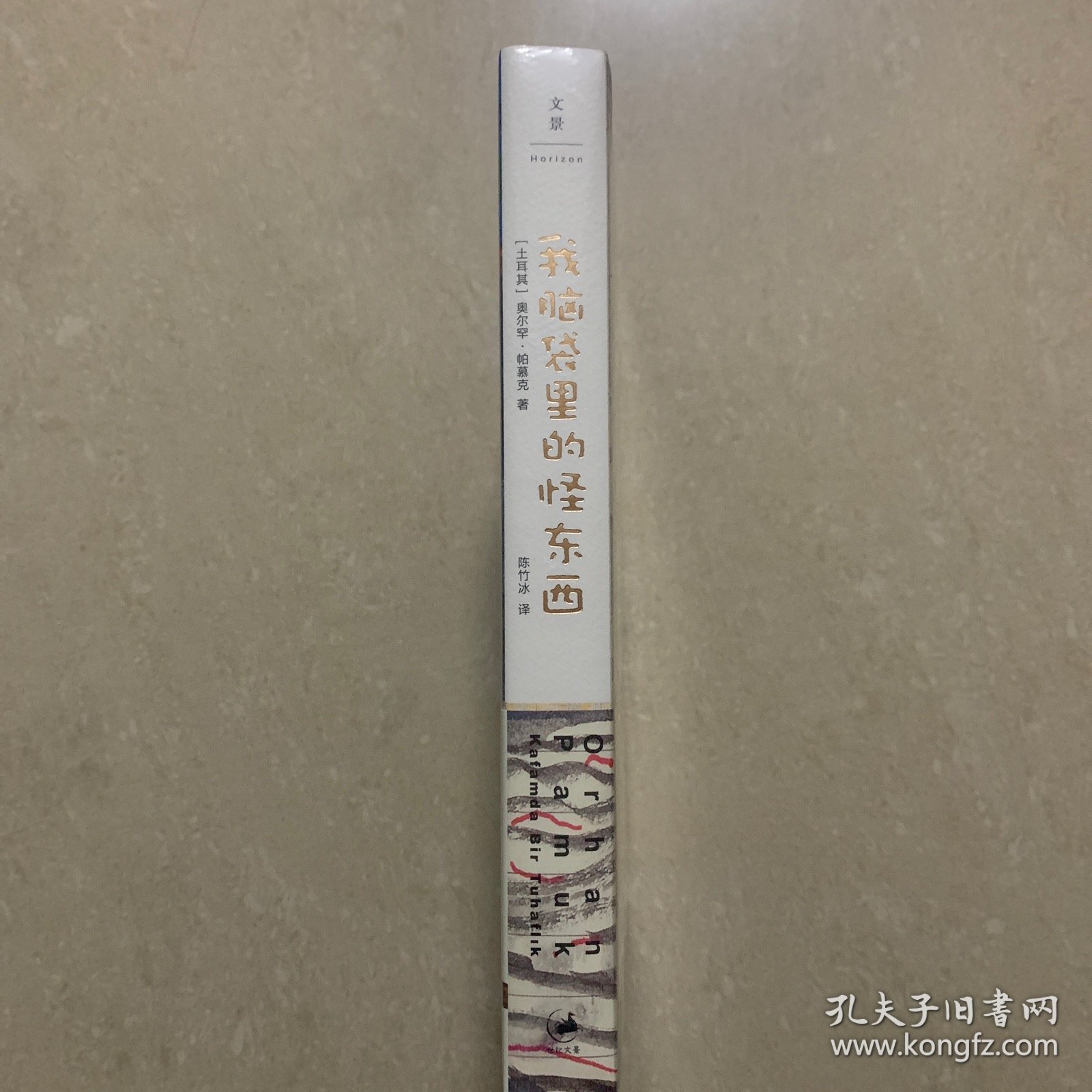 我脑袋里的怪东西