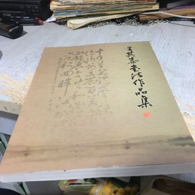 王其泰书法作品集