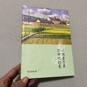 小满葚子黑 芒种吃打麦