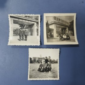七十年代 南京药学院 照片（共3枚）—— 唯一在售（包邮）！
