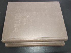 中國(guó)大百科全書(shū)  電子學(xué)與計(jì)算機(jī) I II 2本合售
