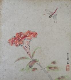 日本回流书画字画望月金凤国画《花卉》