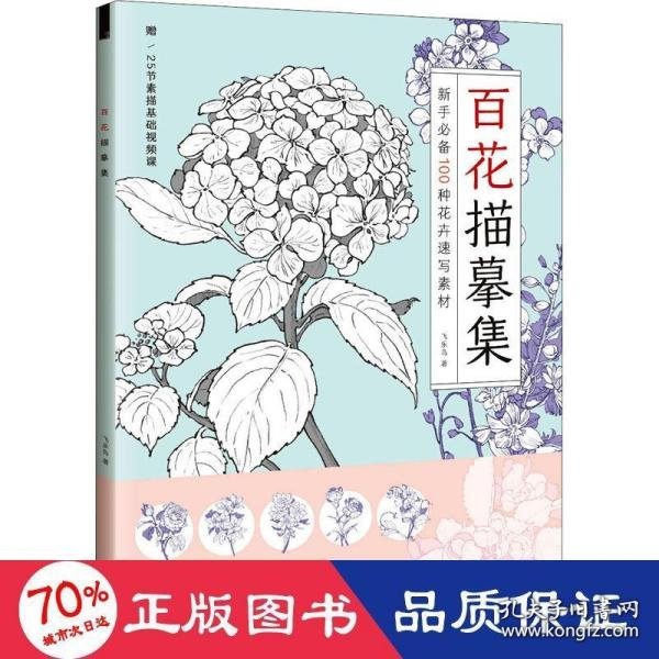 百花描摹集