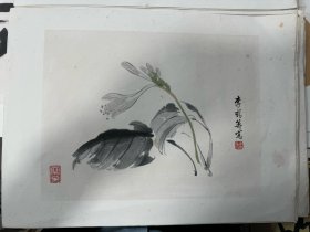 五十年代荣宝斋木版水印 十张（8开）