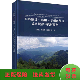 秦岭勉县-略阳-宁强矿集区成矿规律与找矿预测