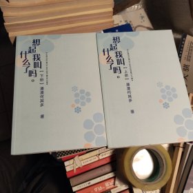 想起我叫什么了吗。(上下册)
