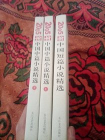 2005年中国中篇小说精选（上下）+2005年中国短篇小说精选【三本合售】
