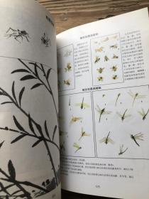 国画书籍 怎样画国画 适合初学者系统学习