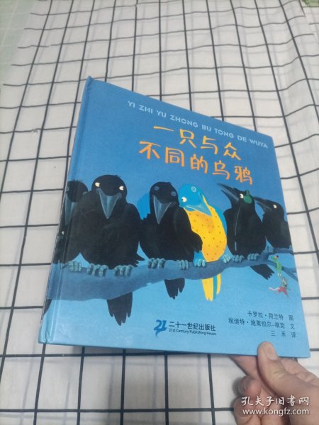 一只与众不同的乌鸦：悦读阅美绘本馆