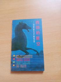 西部的星空——?jiǎng)⒗呻娨曀囆g(shù)片解說詞集