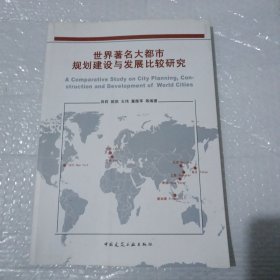 世界著名大都市规划建设与发展比较研究