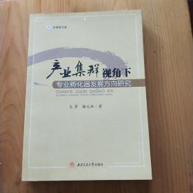 浙商院文库：产业集群视角下专业孵化器发展方向研究