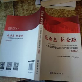 数普惠 新金融——中国普惠金融实践案例集锦(2020)