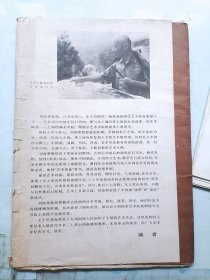 刘海粟中国画近作选存14张