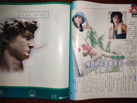 郑伊健 陈炜 伍咏薇 陈慧娴 陈洁仪 那英 任葆琳 陈妙瑛 原千晶 陈杏妍 罗嘉良 16开(427)