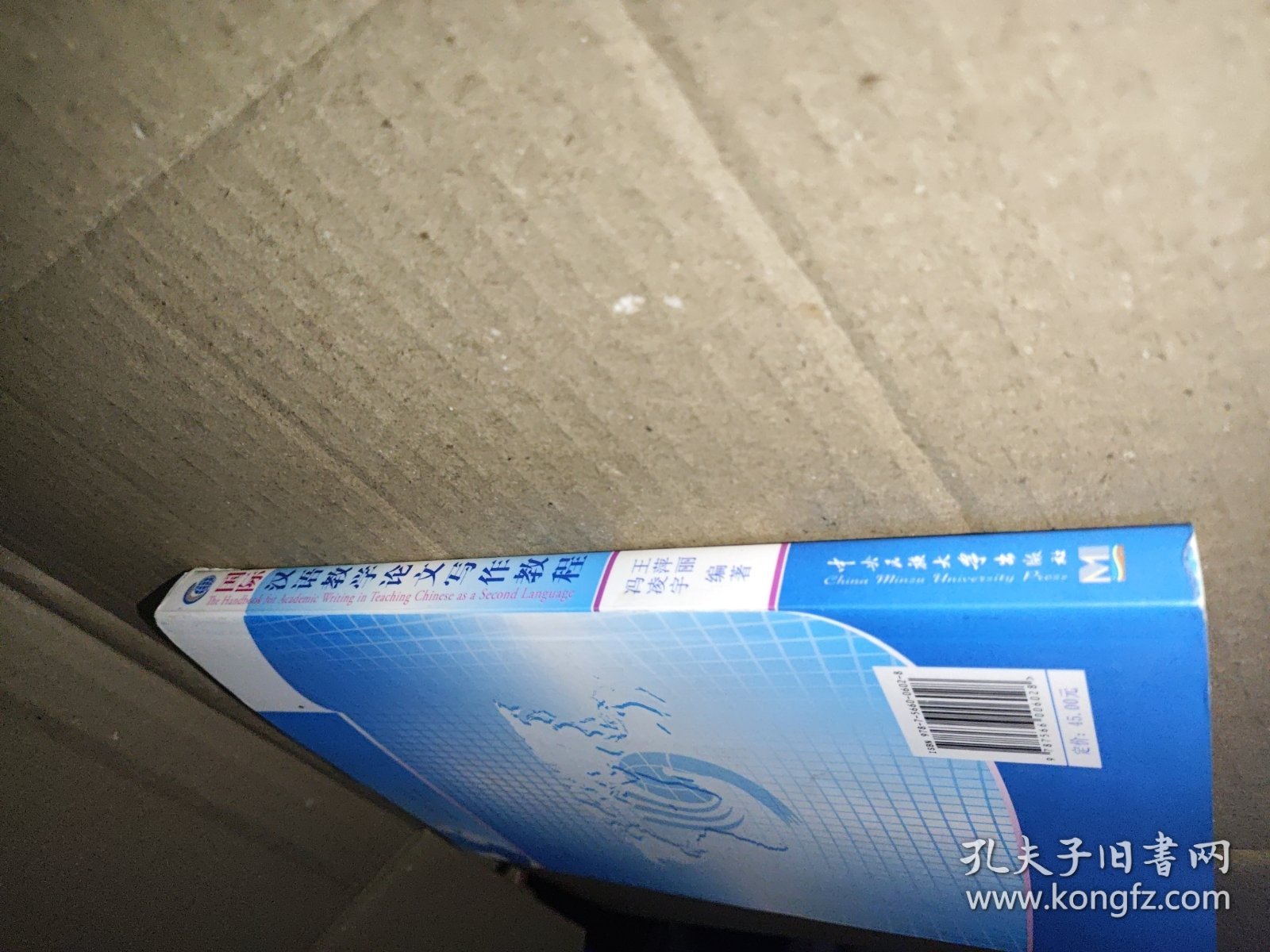 国际汉语教学论文写作教程/国际汉语教学研究生系列教材