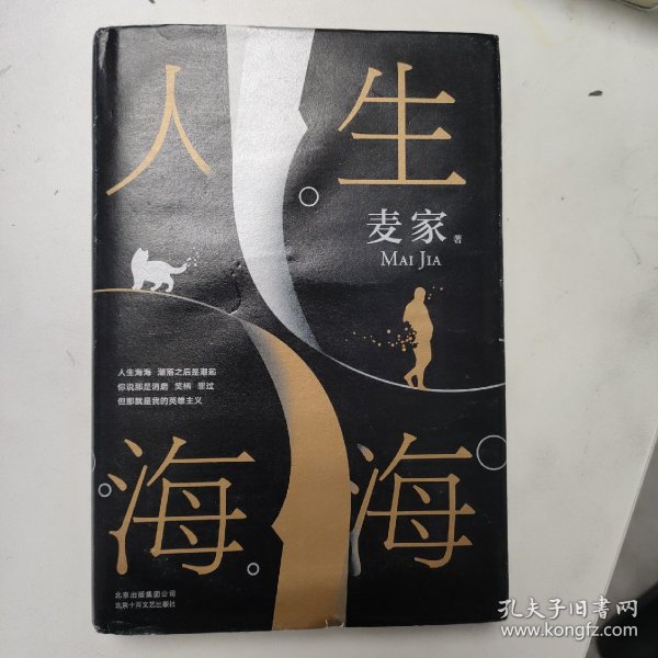 麦家：人生海海（茅盾文学奖得主麦家2019年强力之作）