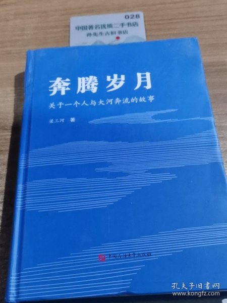 奔腾岁月：关于一个人与大河奔流的故事