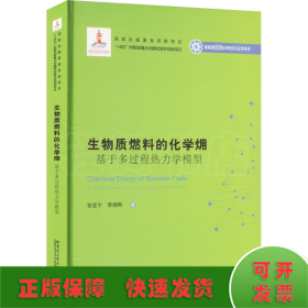 生物质燃料的化学？：基于多过程热力学模型（2020新能源基金）