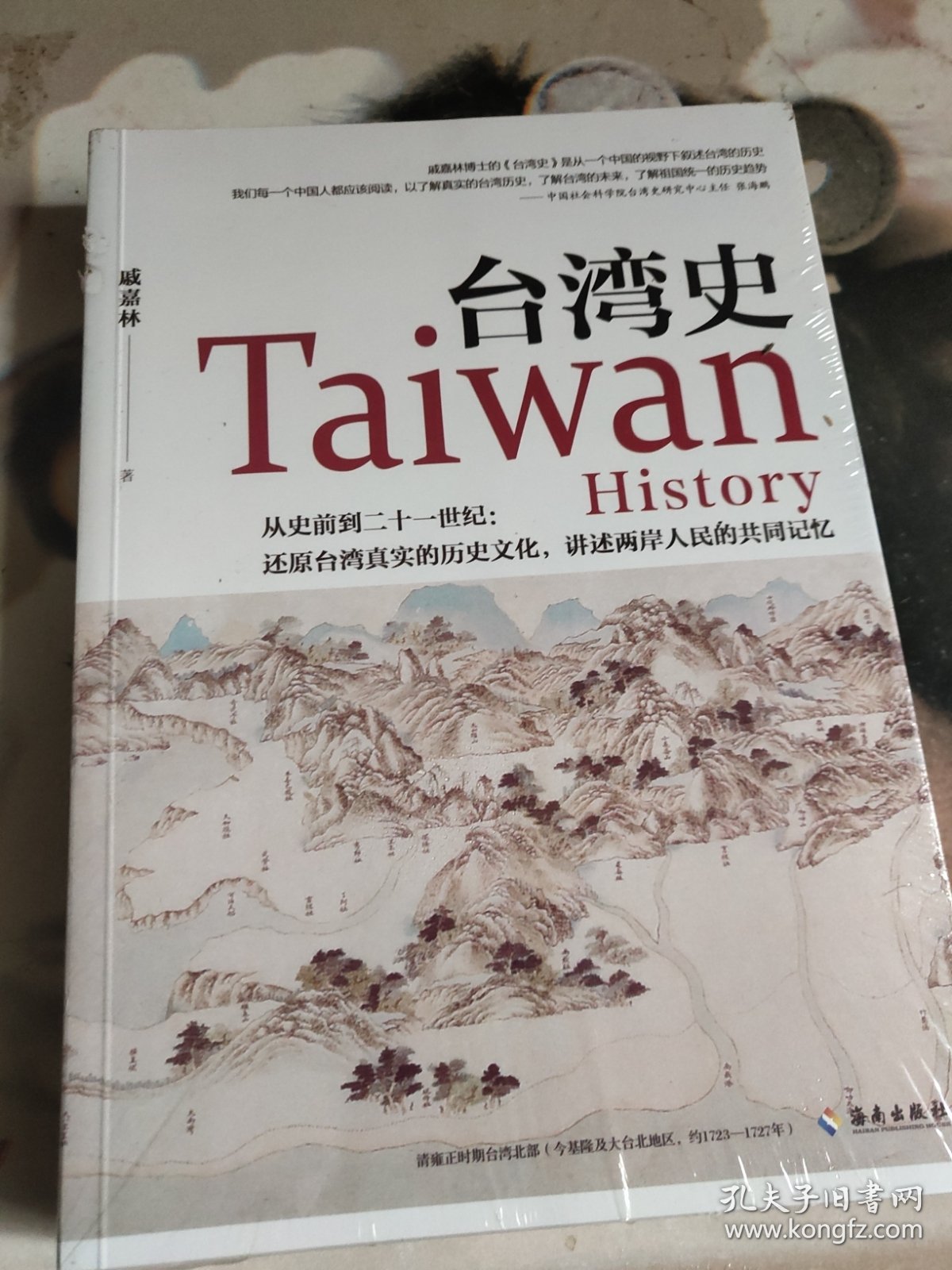 台湾史：揭露台湾跨越数千年的历史浮沉，解析台独乱象的历史渊源，梳理台湾社会的变革脉络