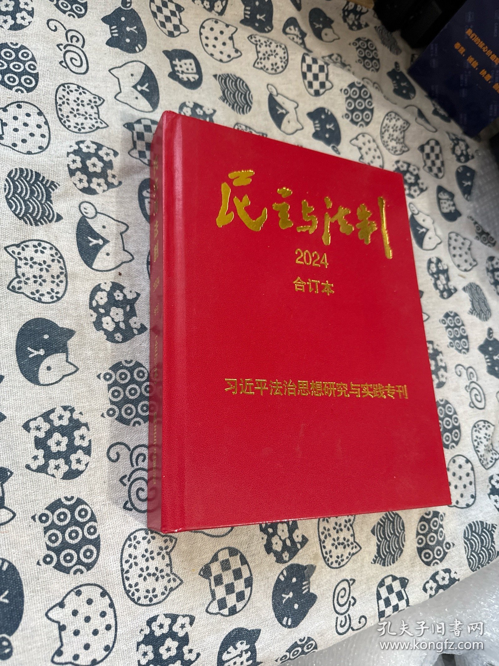 民主与法制2024合订本 专刊
