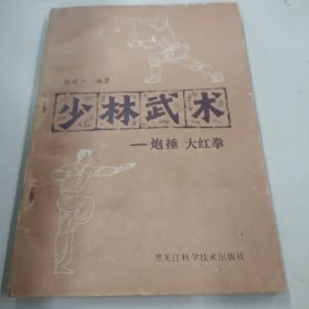 少林武术炮捶、大红拳