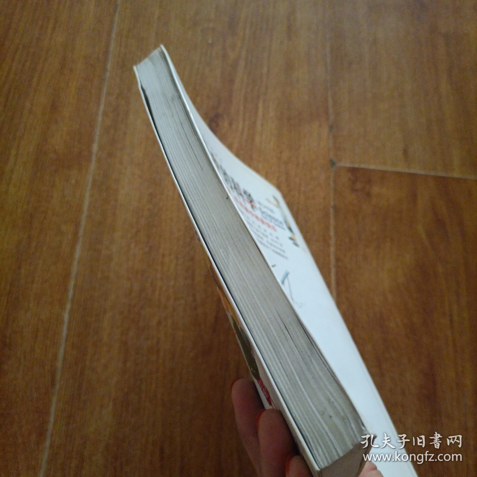 游戏中的科学