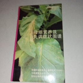烤煙營養(yǎng)及失調癥狀圖譜
