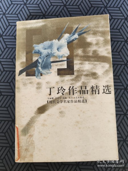 丁玲作品精选