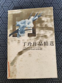 丁玲作品精选