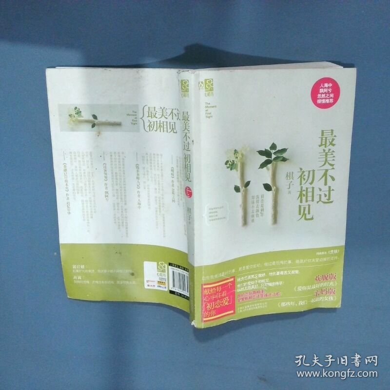 最美不过初相见  棋子 云南人民出版社