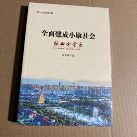 “纪录小康工程”地方丛书·全面建成小康社会陕西全景录