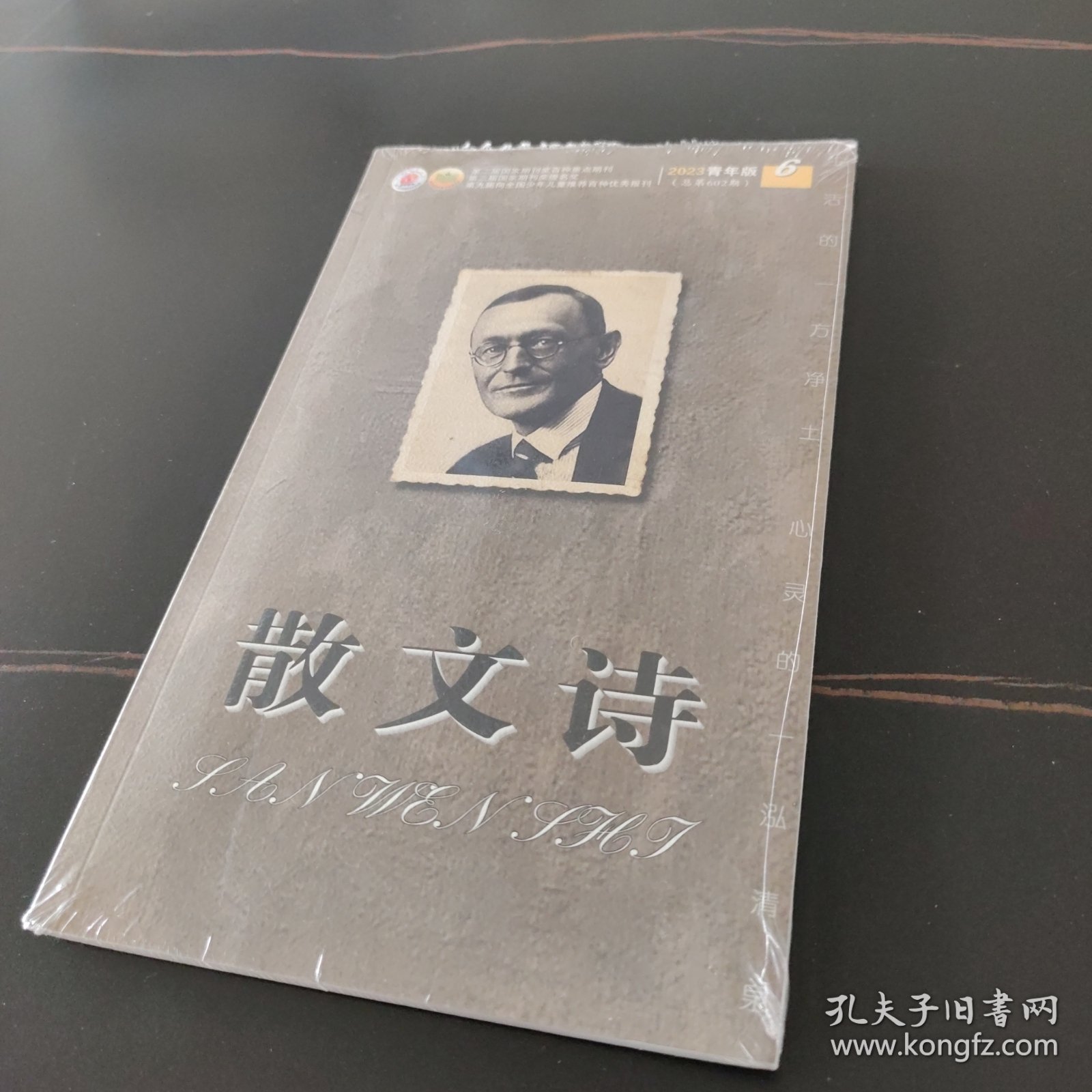 散文诗2023 青年版6 (总第602期)