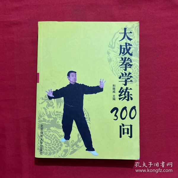 大成拳学练300问