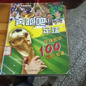 奔跑吧！足球 足球知识100个应知道（第2版）