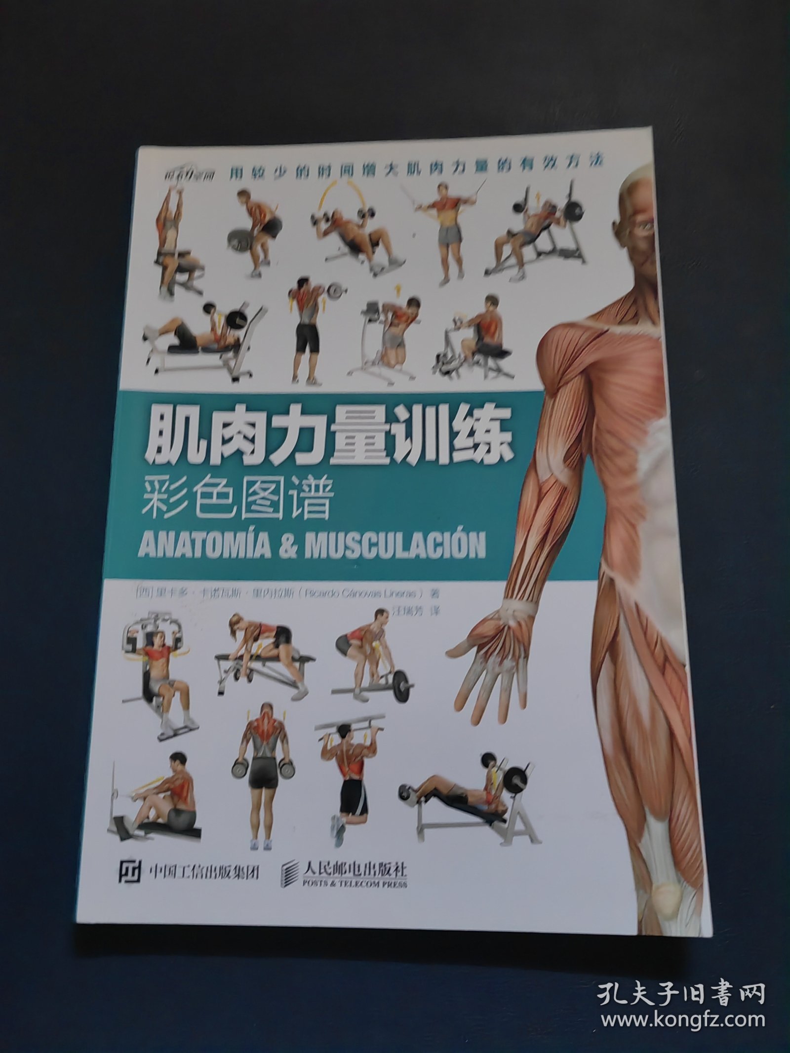 肌肉力量训练彩色图谱