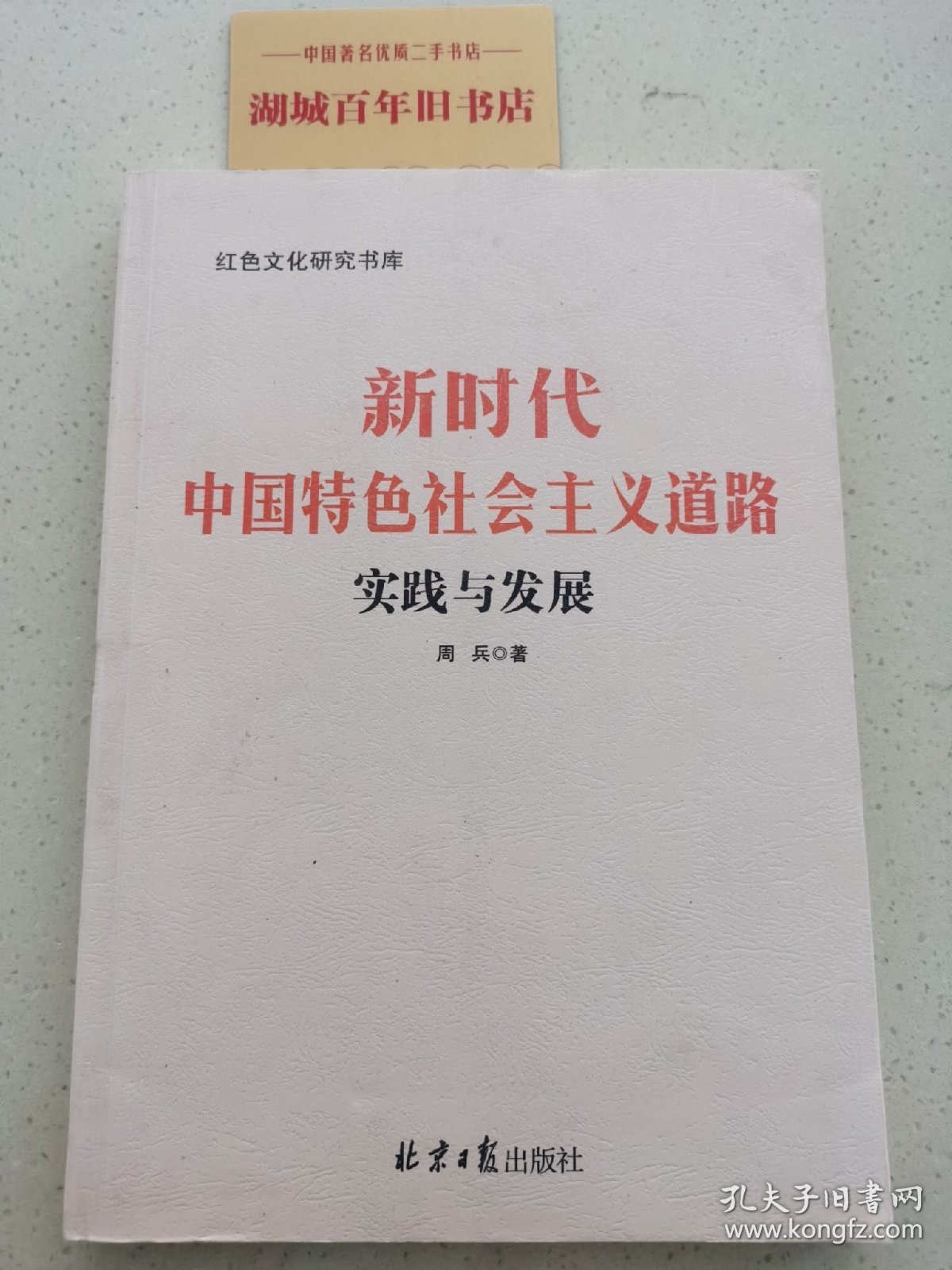 新时代中国特色社会主义道路实践与发展