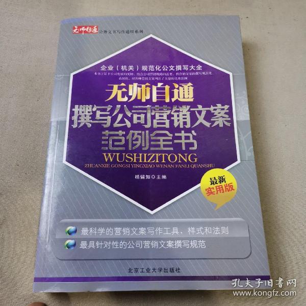 无师自通撰写公司营销文案范例全书（最新实用版）