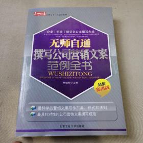 无师自通撰写公司营销文案范例全书（最新实用版）