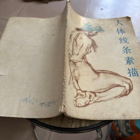 人体线条素描