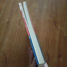 执行力、战斗力、凝聚力：攻无不克战无不胜的工作法则