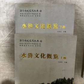 水浒文化概览（上下册）