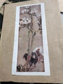 各画徐悲鸿作猫等11张合售