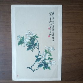 画片：栀子花（诸乐三作，上海人民美术出版社出版，1957年第一版第一次印刷）