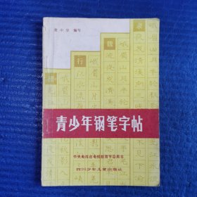 青少年钢笔字帖——中央电视台电视教育节目用书