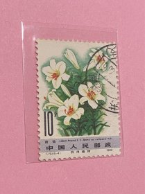 T72《药用植物（第二组）》信销散邮票6-4“百合”