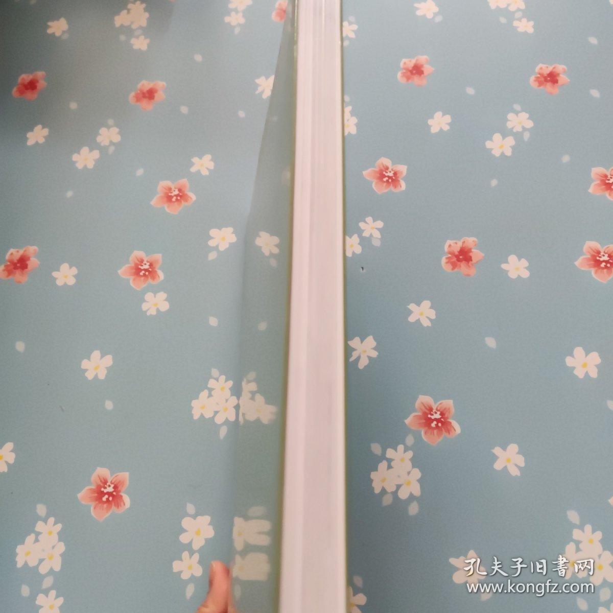 中国文化遗产研究院 年报 2020【全新未开封】