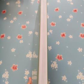 中国文化遗产研究院 年报 2020【全新未开封】