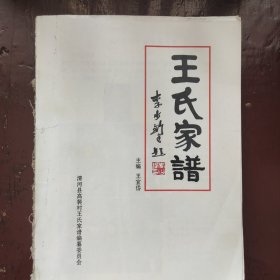 河北省清河县高裴村王氏家谱一本大全。