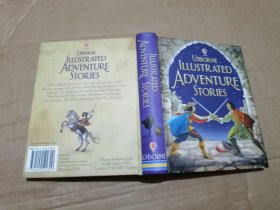 Illustrated Adventure Stories冒险故事绘本 英文原版